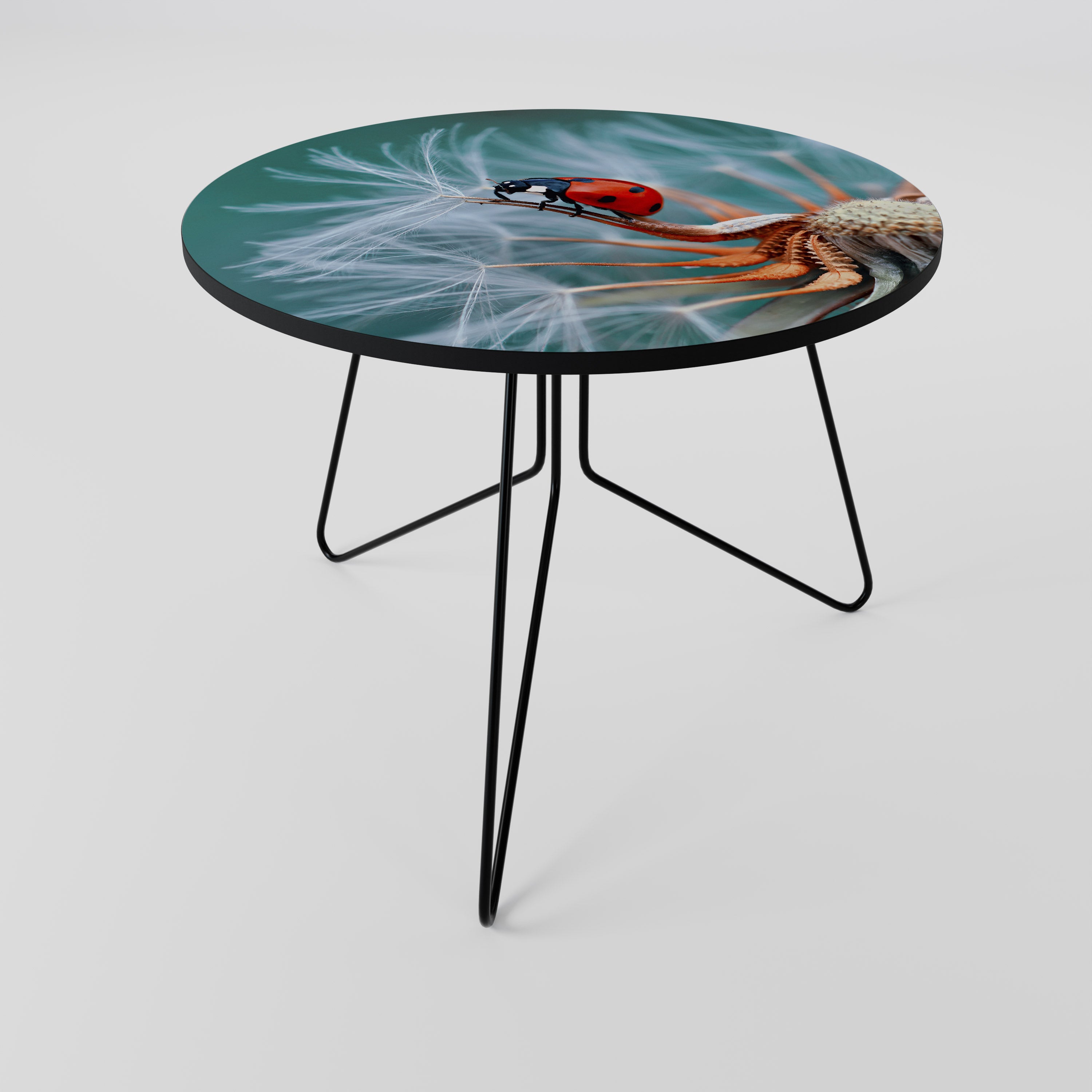 LADYBUG BALANCE Coffee Table
