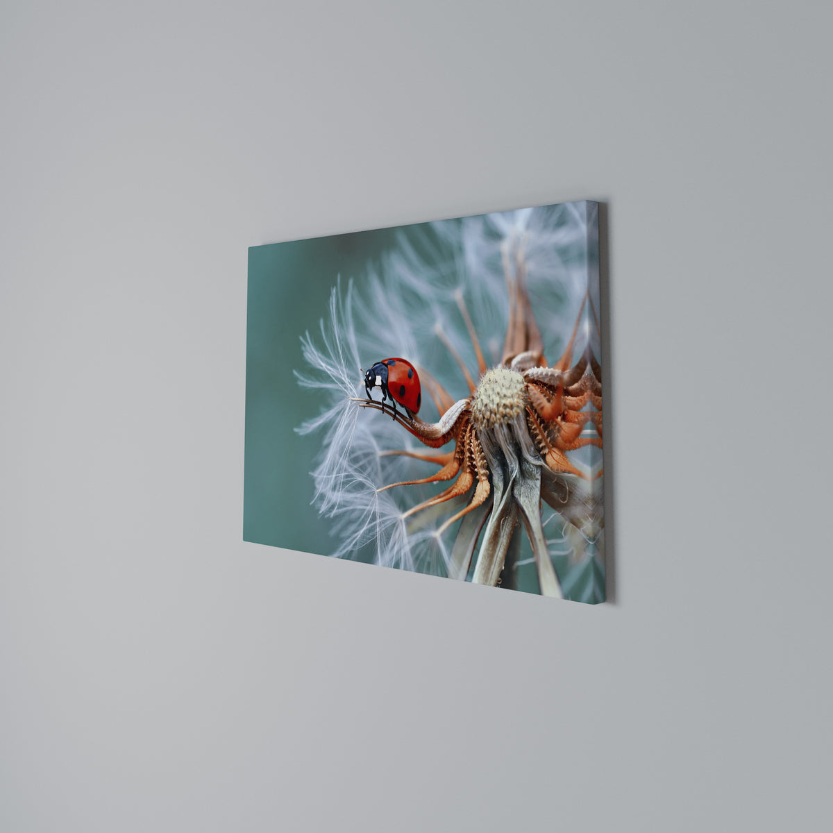 LADYBUG BALANCE Horizontal Canvas Print