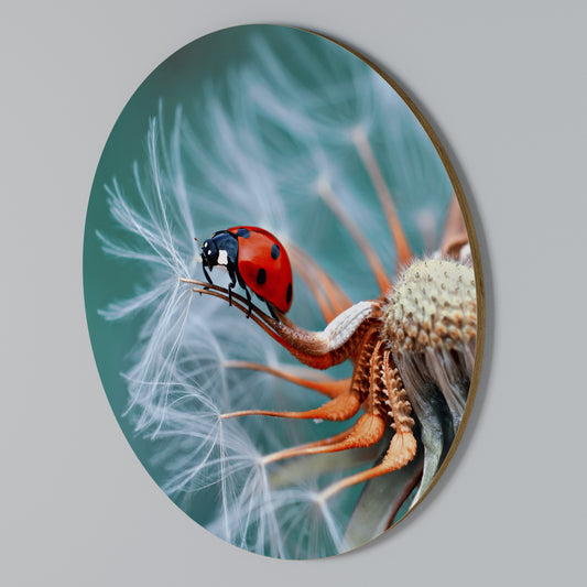 LADYBUG BALANCE Rund väggdekor