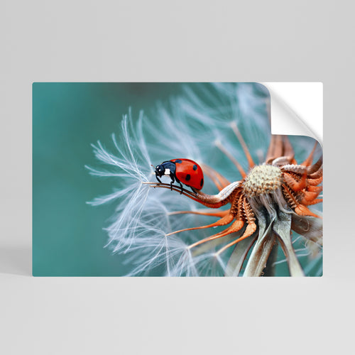 LADYBUG BALANCE Självhäftande Horisontell Poster