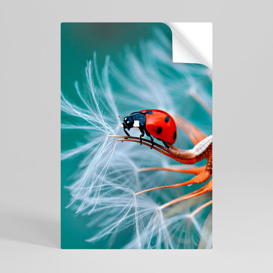 LADYBUG BALANCE Självhäftande Vertikal Poster