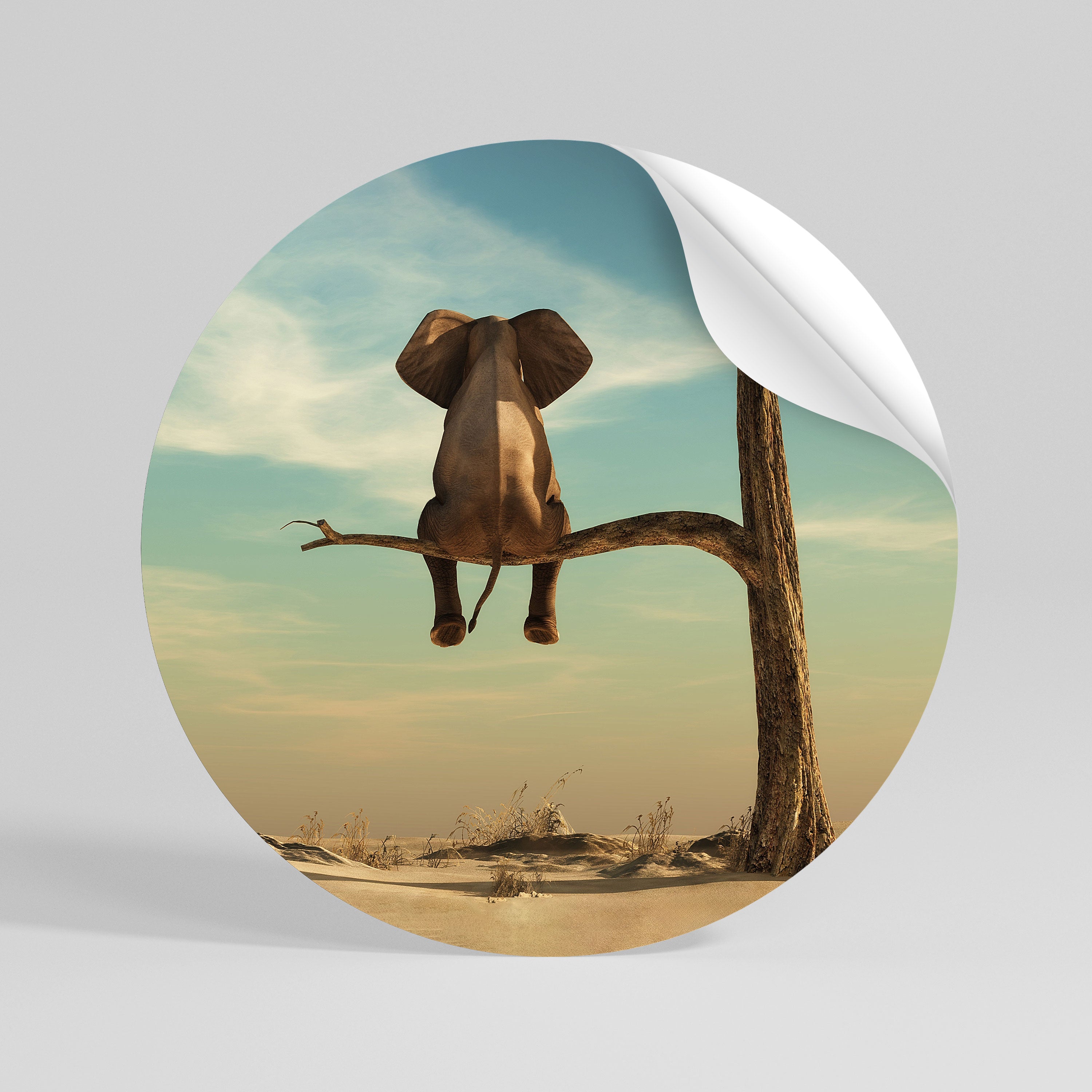 DARE TO DREAM Rund väggdekal