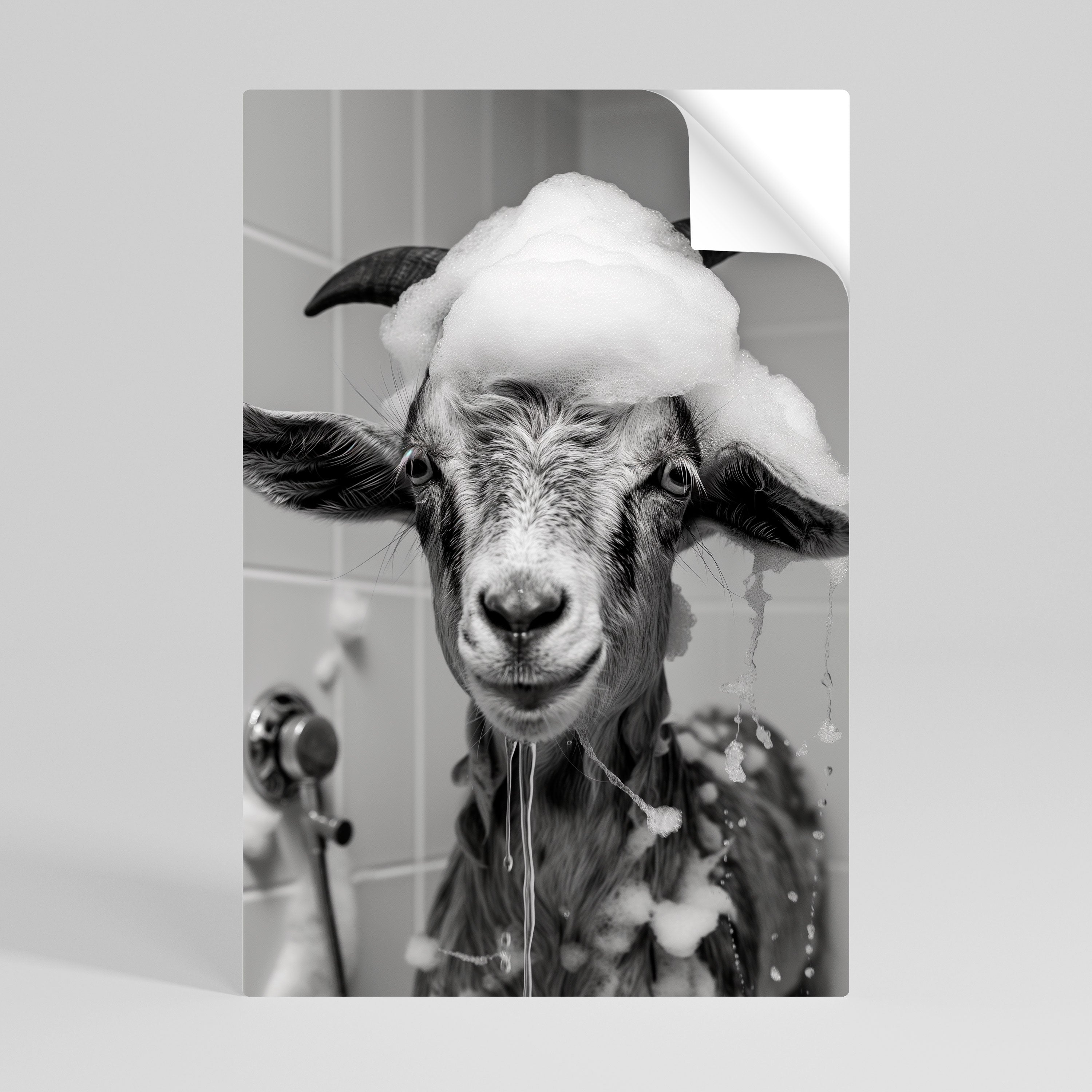 SOAPY GOAT GIGGLES Vertikal affisch med självhäftande text