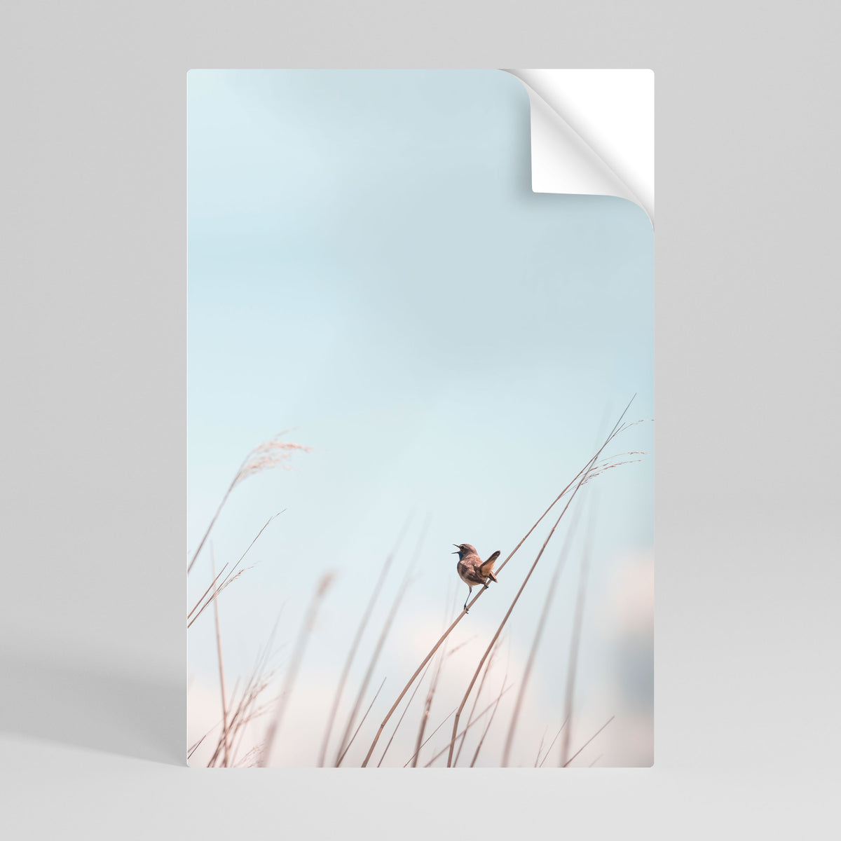 NATURE'S CHORUS Självhäftande Vertikal Poster