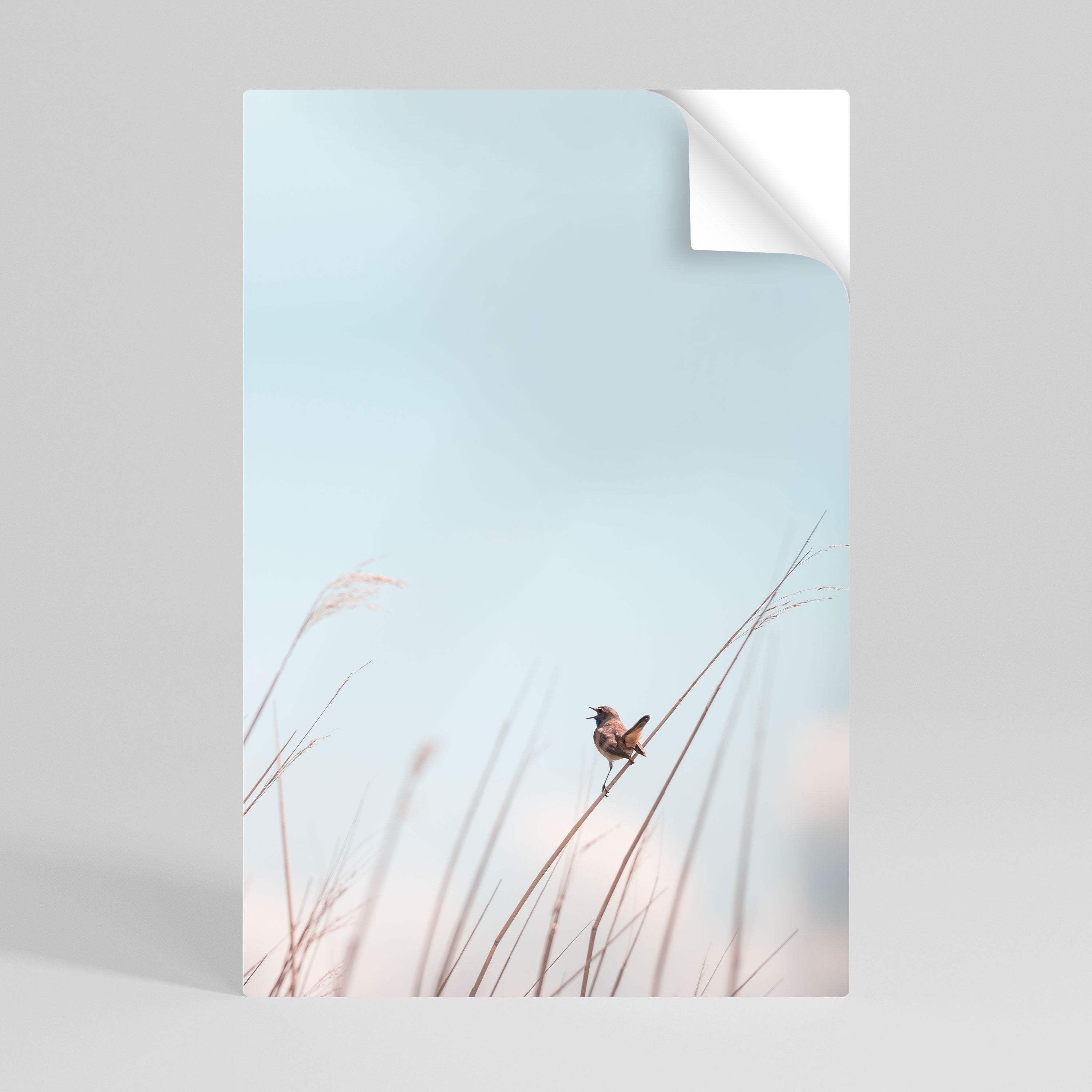 NATURE'S CHORUS vertikal poster med självhäftande tryck