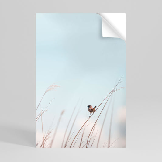 NATURE'S CHORUS Självhäftande Vertikal Poster