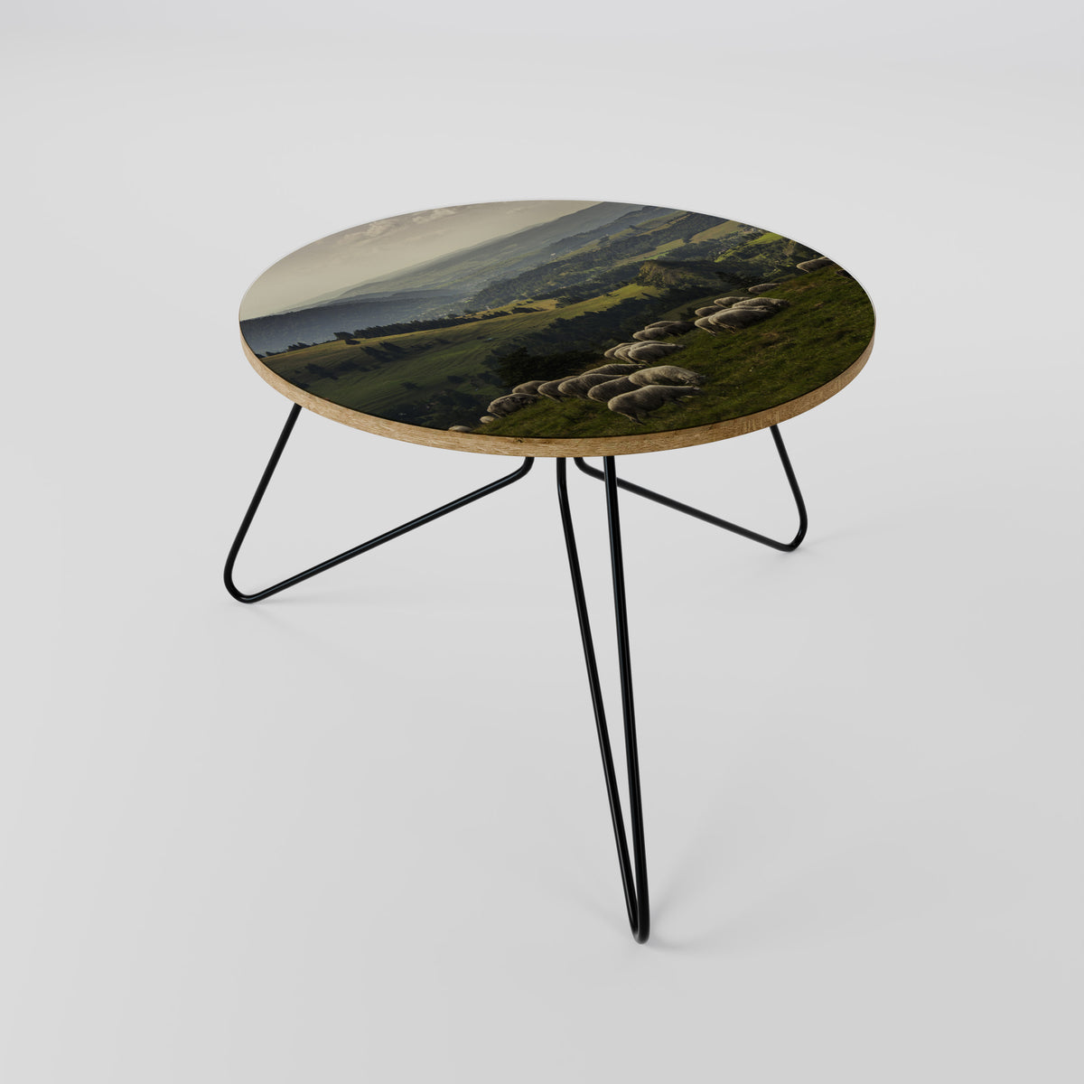 SHEEP IN SERENITY Coffee Table
