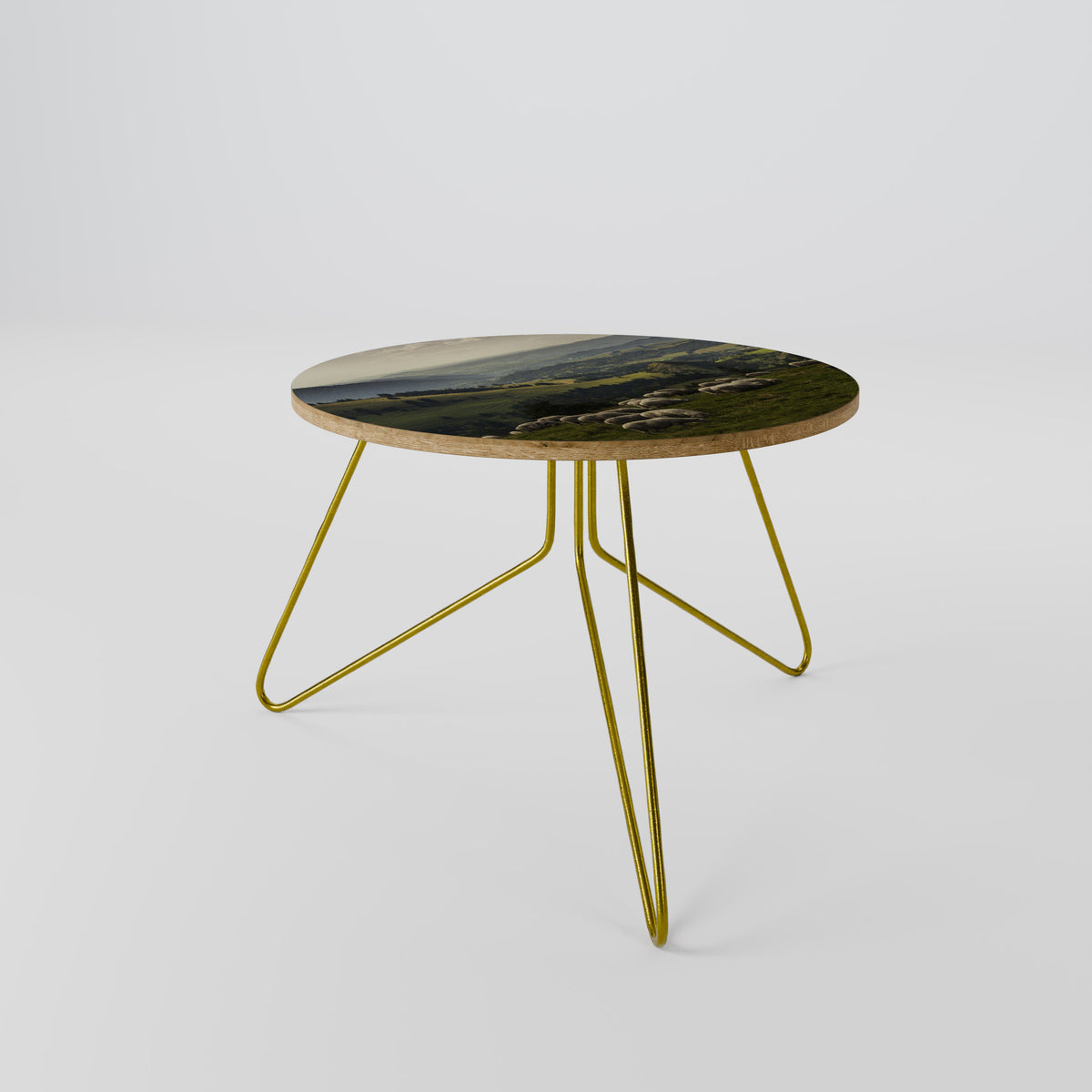 SHEEP IN SERENITY Coffee Table