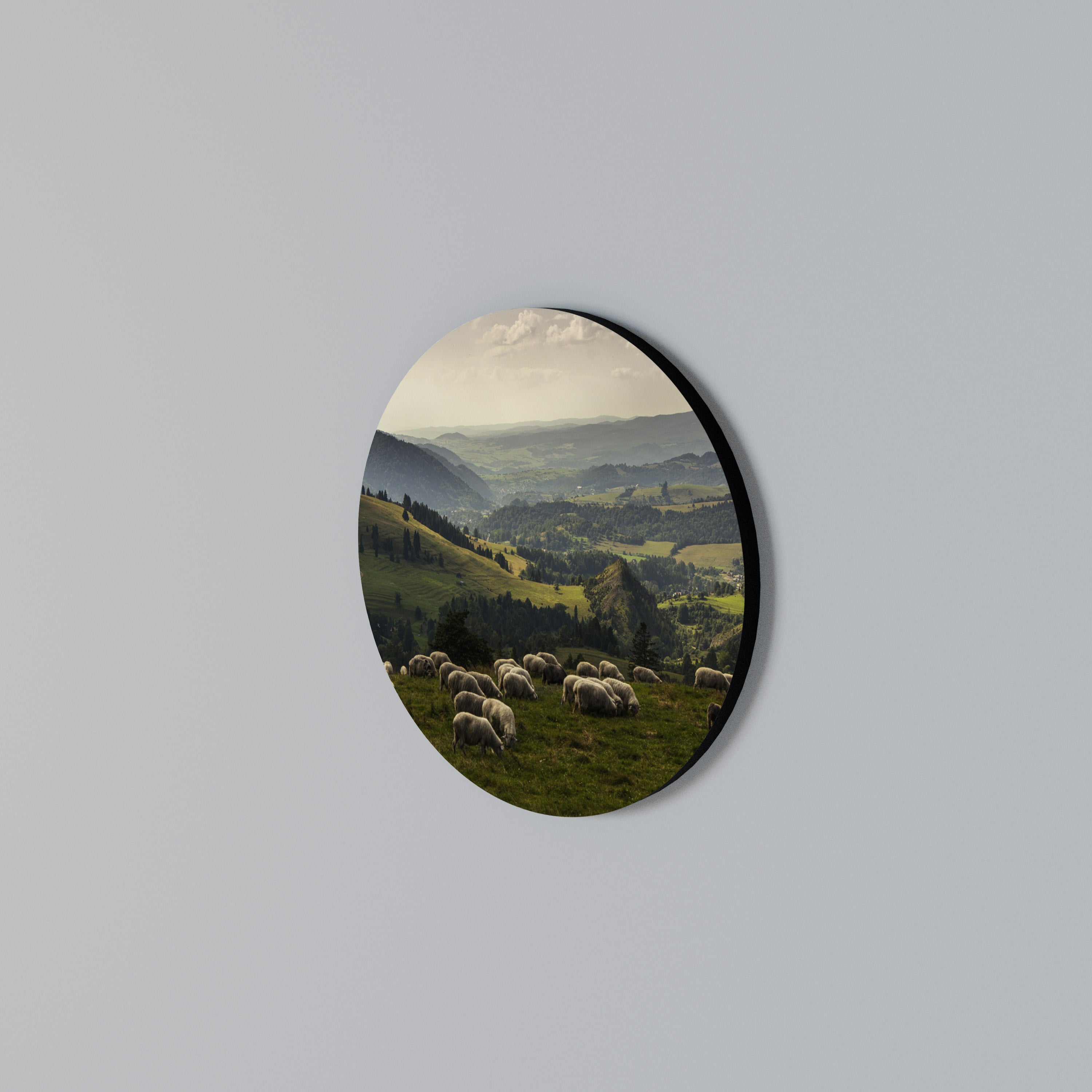 SHEEP IN SERENITY Round Wall Art