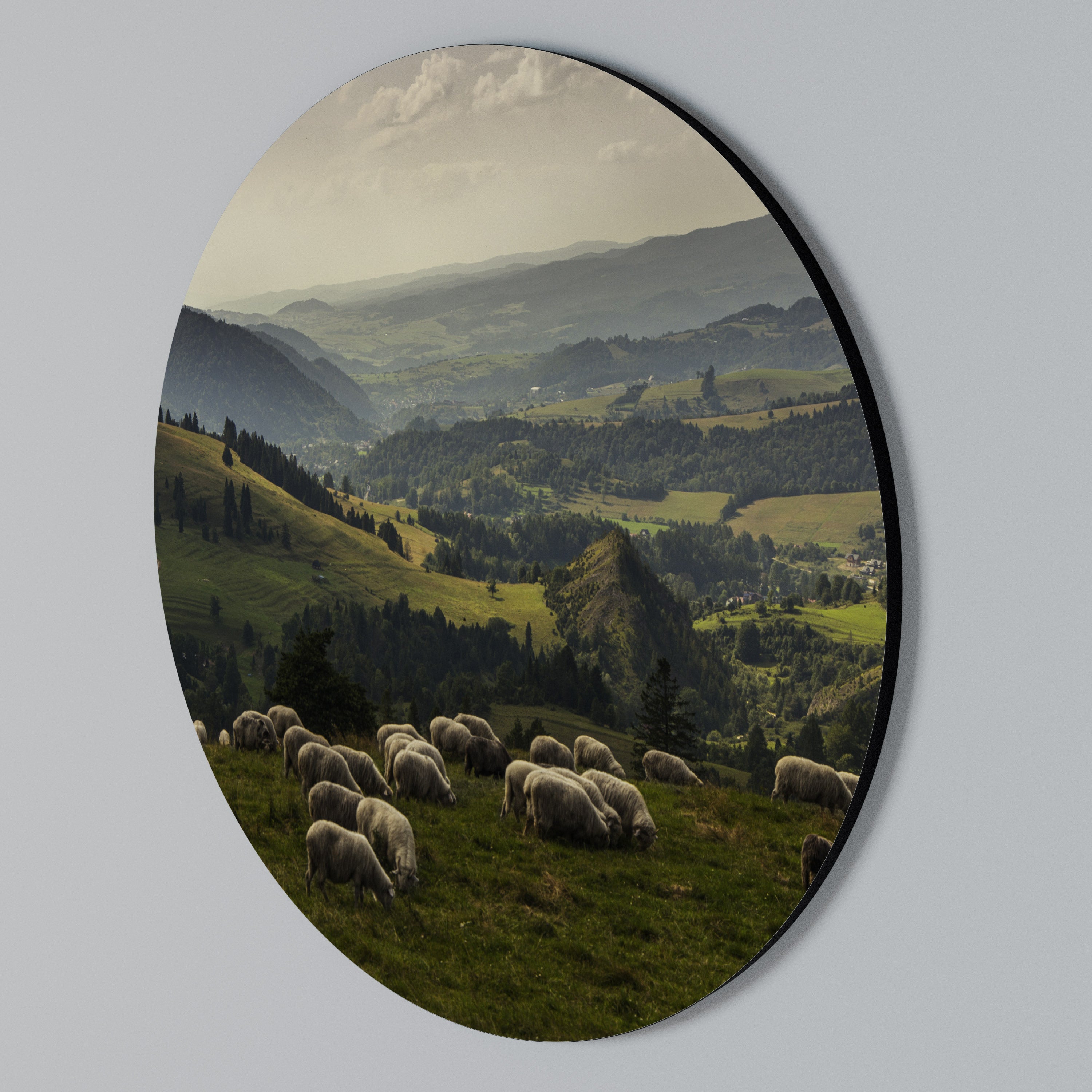 SHEEP IN SERENITY Round Wall Art