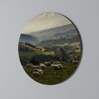 SHEEP IN SERENITY Round Wall Art