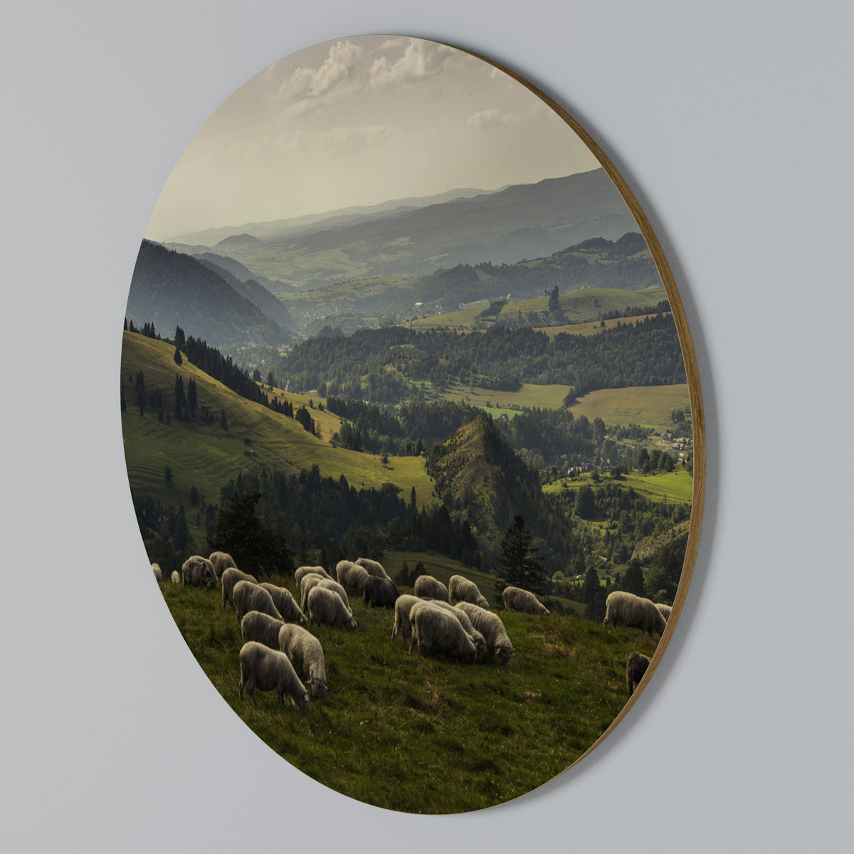 SHEEP IN SERENITY Round Wall Art