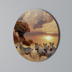 ZEBRA SUNSET SERENADE Round Wall Art
