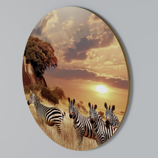 ZEBRA SUNSET SERENADE Rund väggdekor
