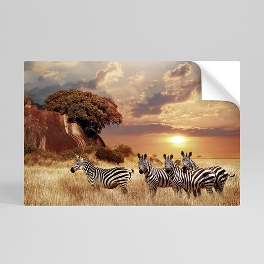 ZEBRA SUNSET SERENADE Självhäftande Horisontell Poster
