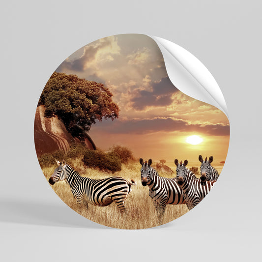 ZEBRA SUNSET SERENADE Rund väggdekal