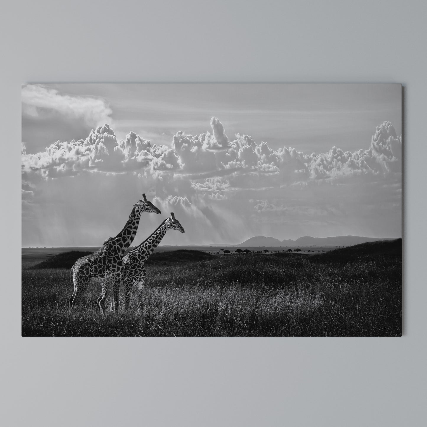 ELEGANT HEIGHTS UNVEILED Horizontal Canvas Print