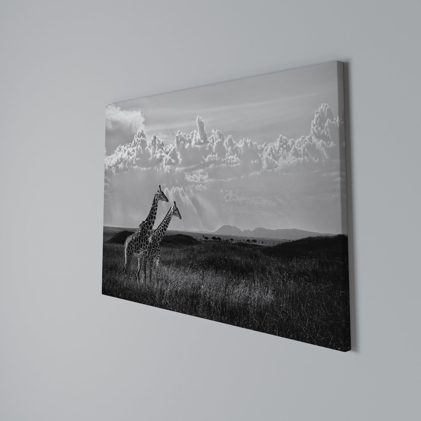 ELEGANT HEIGHTS UNVEILED Horizontal Canvas Print