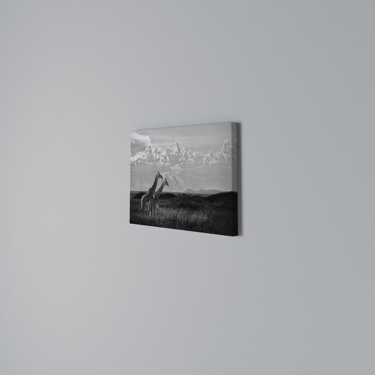 ELEGANT HEIGHTS UNVEILED Horizontal Canvas Print