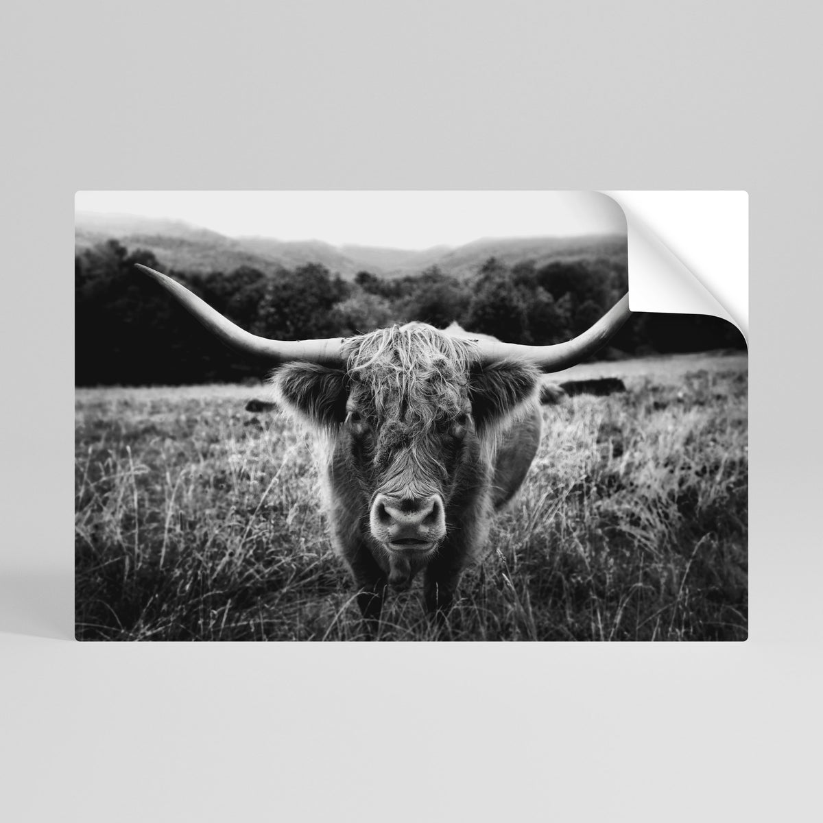 HORNED HERO IN FOCUS Självhäftande Horisontell Poster