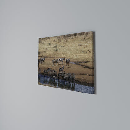 THE ZEBRA HARMONY Horizontal Canvas Print
