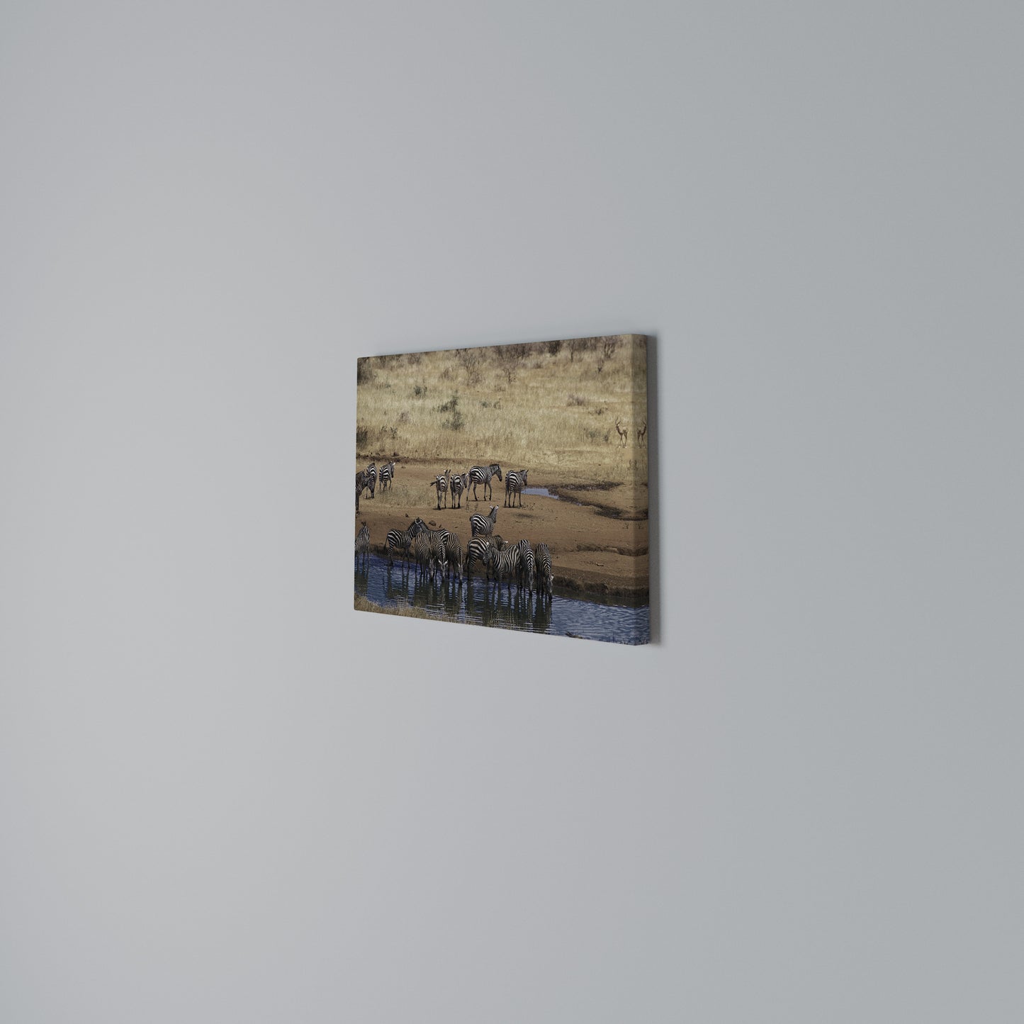 THE ZEBRA HARMONY Horizontal Canvas Print
