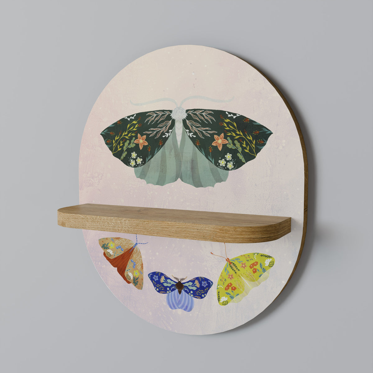 MOTH INTO THE LIGHT Art Shelf