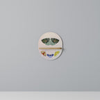 MOTH INTO THE LIGHT Art Shelf