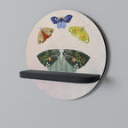 MOTH INTO THE LIGHT Art Shelf