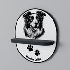 BORDER COLLIE Art Shelf