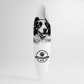 BORDER COLLIE Väggdekal surfbräda