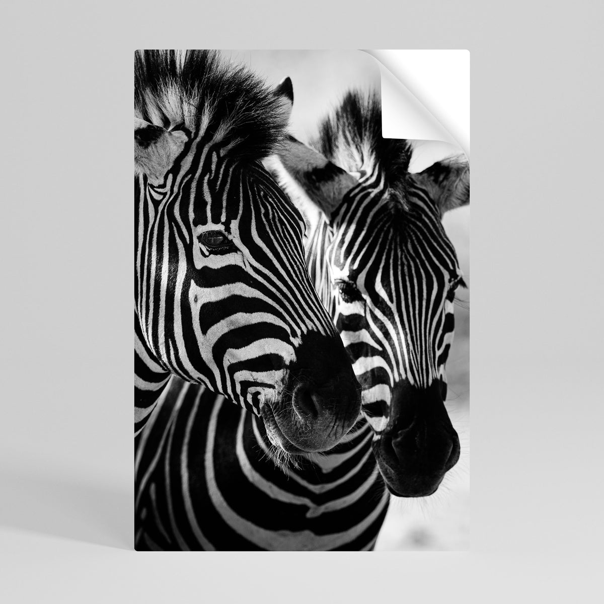 STRIPED SYMPHONY Självhäftande Vertikal Poster