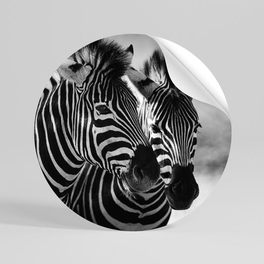 STRIPED SYMPHONY Rund väggdekal