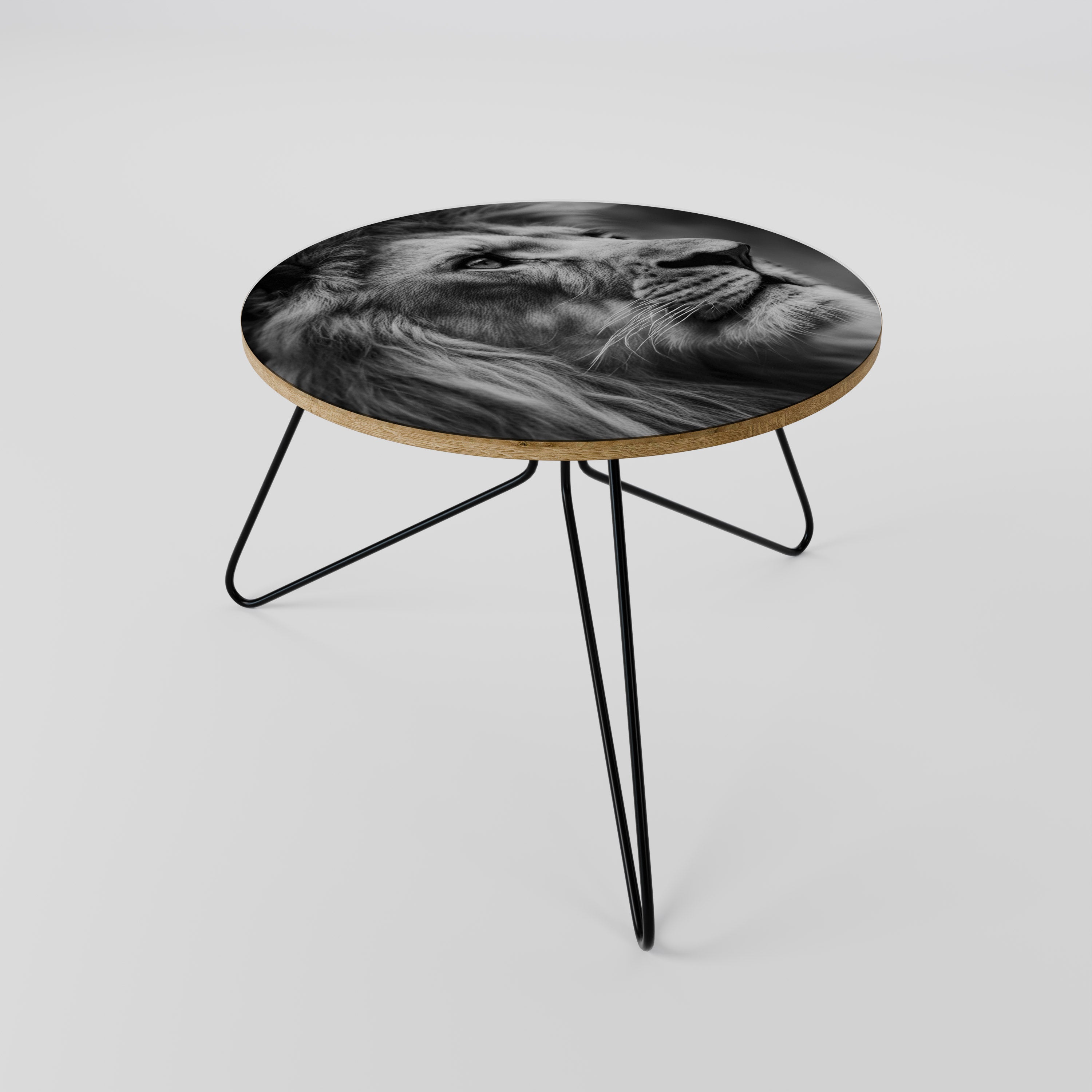 ROYAL REFLECTION Coffee Table