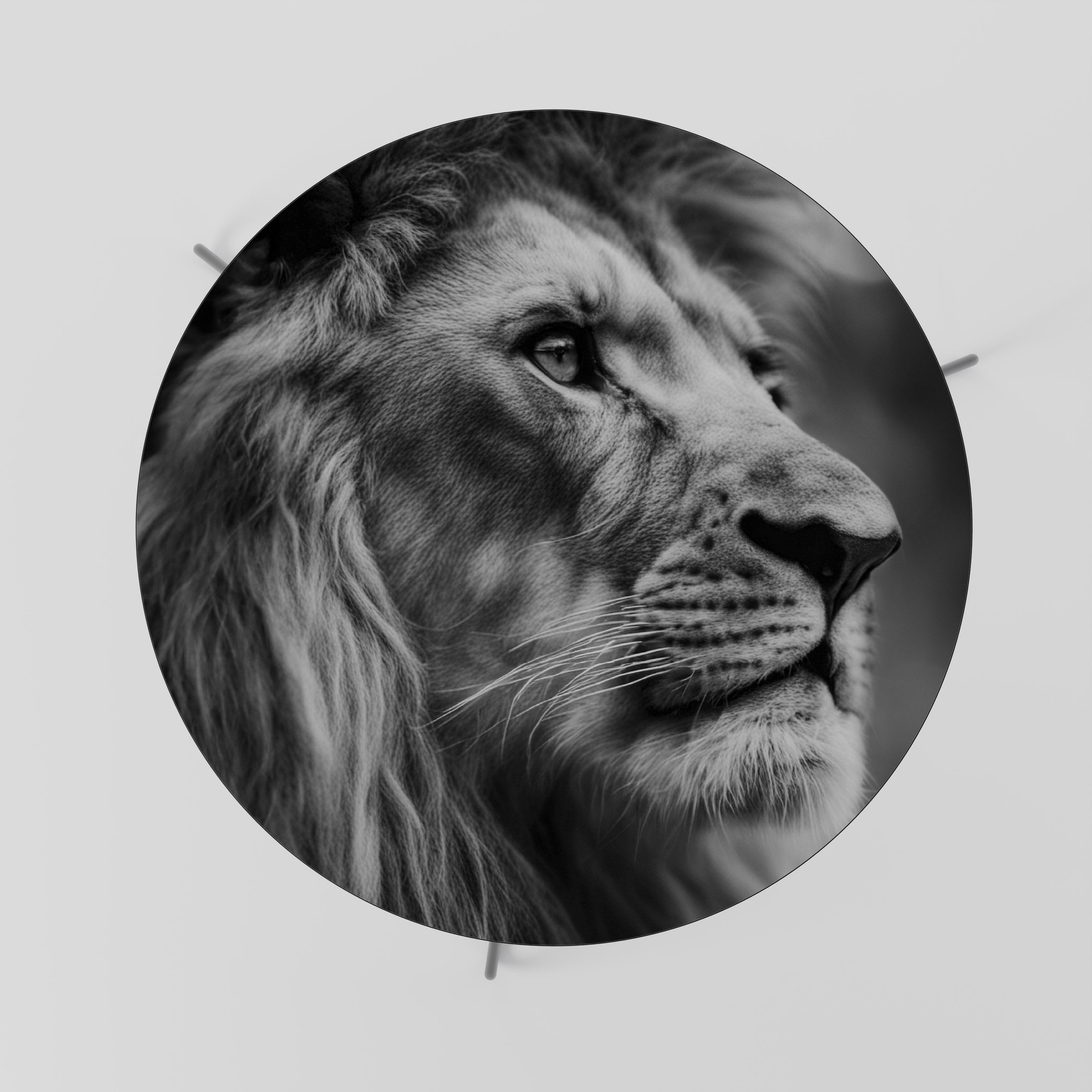 ROYAL REFLECTION Coffee Table