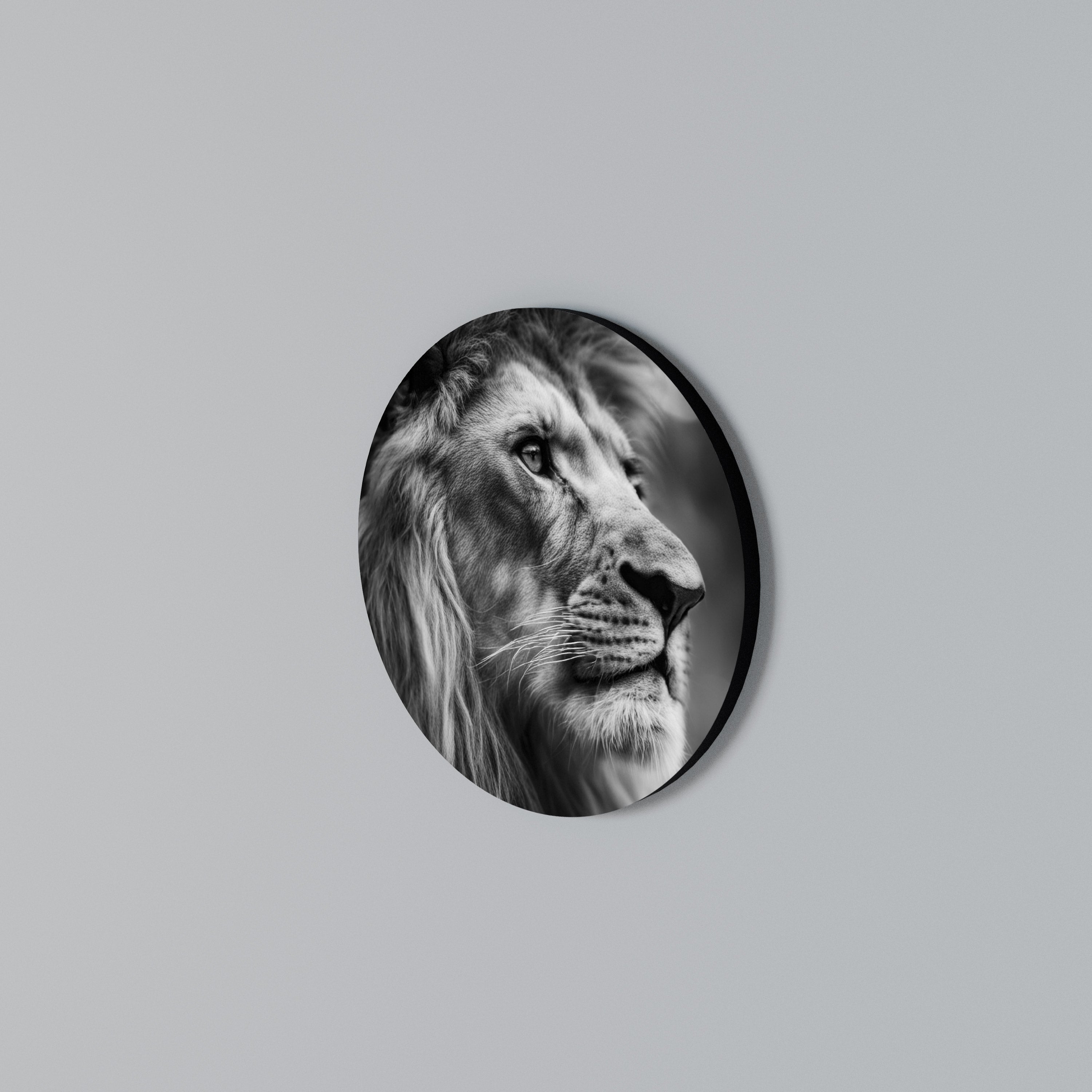 ROYAL REFLECTION Rund väggdekor