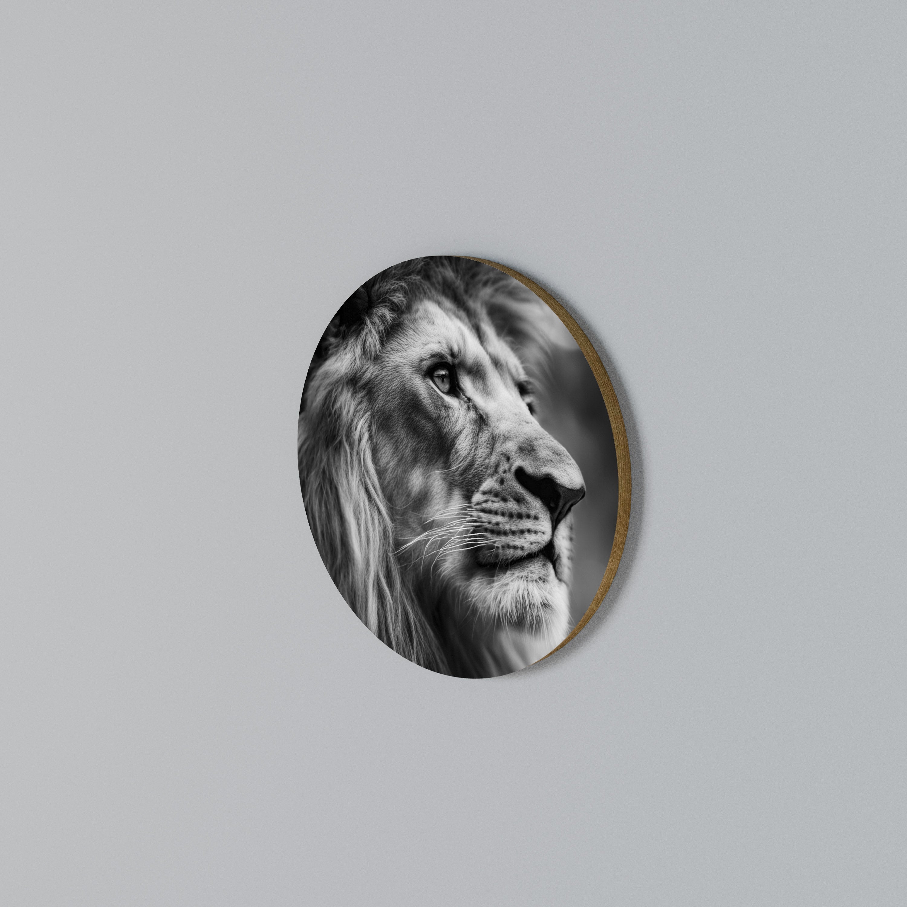 ROYAL REFLECTION Rund väggdekor