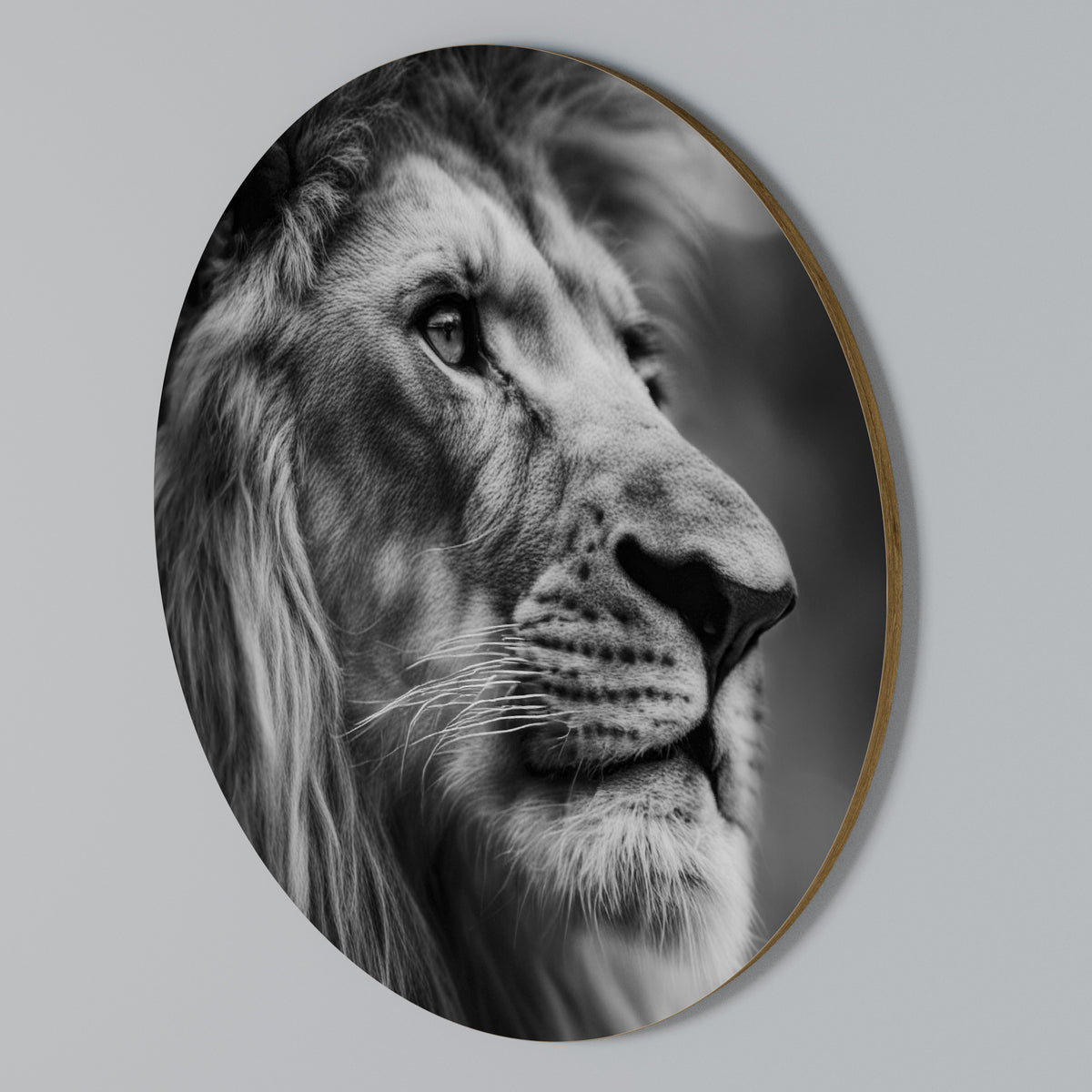 ROYAL REFLECTION Rund väggdekor