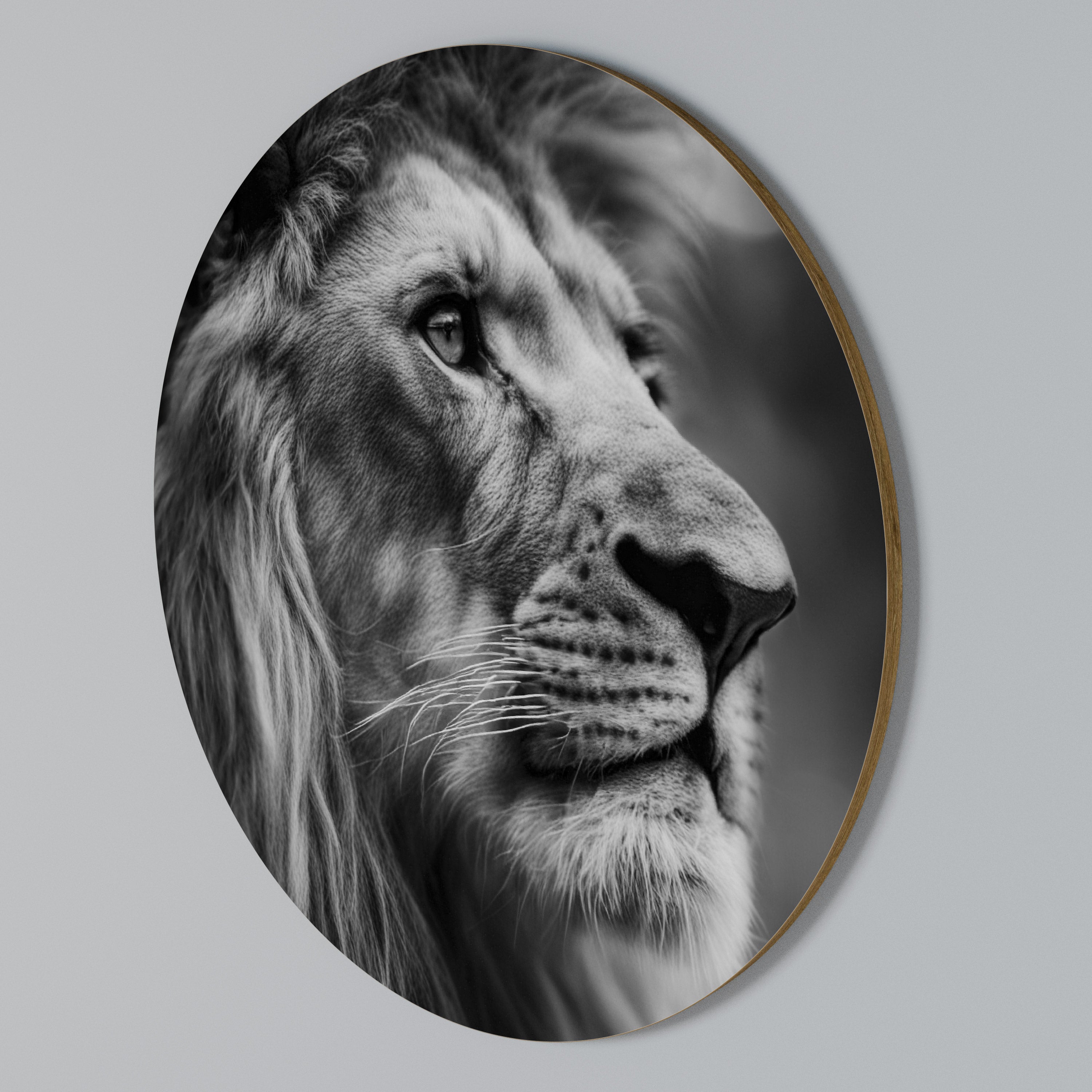 ROYAL REFLECTION Rund väggdekor