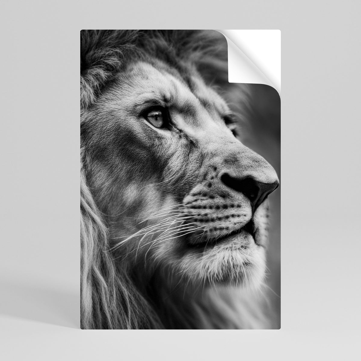 ROYAL REFLECTION Självhäftande Vertikal Poster